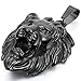 Cupimatch Lion Head Pendant Necklace, Mens Stainless Steel Gothic 22 Inch Biker Link Chain Gold Black (Black)