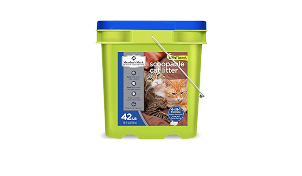 bark collars that work