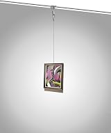 QWORK Picture Hanging Wire Kit 2m Stainless Steel with Adjustable Hooks 40 kg view 7