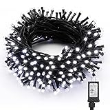 Brizled White Christmas Lights, 78.74ft 240 LED