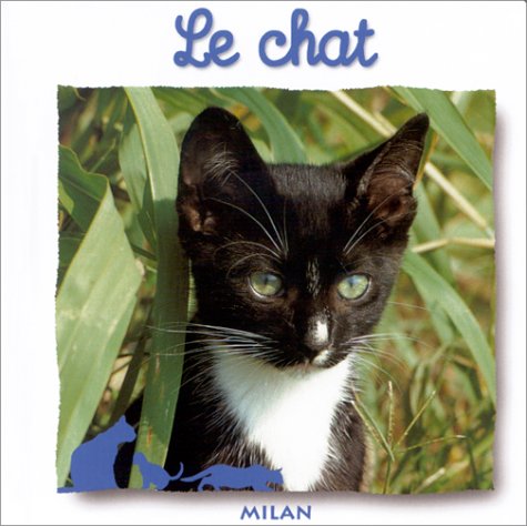Le  chat