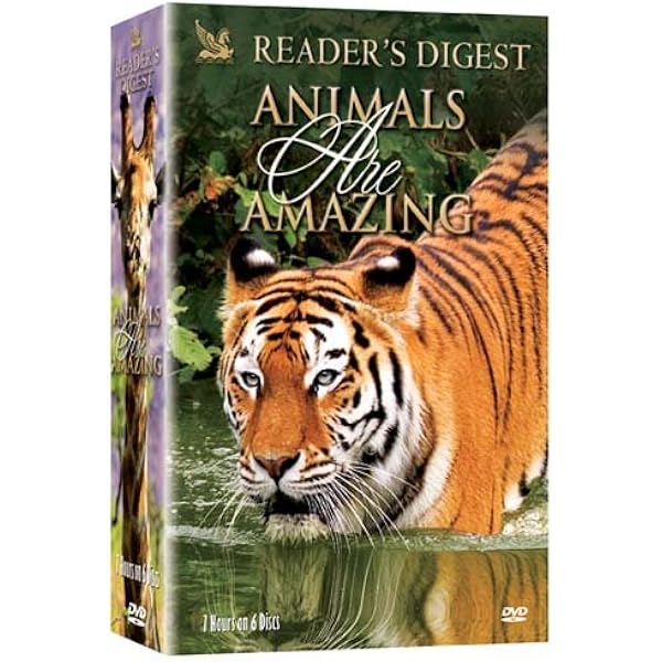 Amazon.com: Animal Atlas: Super/Mysteries/2 In 1 : Artist Not