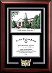 Tennessee Tech Golden Eagles Spirit Graduate Diploma Frame with Imprinted Lithograph - 2017 Graduation Diploma Frame