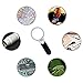 Magnifying Glass, LifeBee 3 LED Light Handheld 3X 45X 2 Lens Reading Magnifying Glass Jewelry Loupe with AAA Battery-Powered for Reading, Low Vision, Jewelry Evaluating, Craft and Hobby