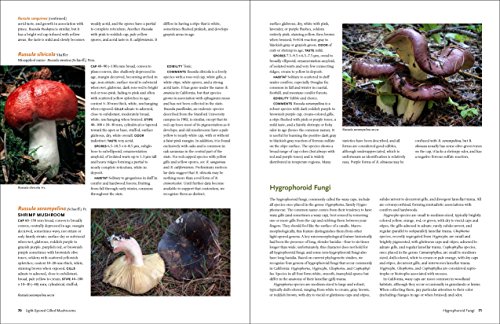California Mushrooms: The Comprehensive Identification Guide - Thumbnail 5