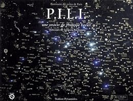 " PILI", une oeuvre de Philippe Favier