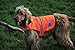 4LegsFriend Reflective Dog Vest. Hi-Visibility, Oxford 300D Waterproof Blaze Orange Dog Vest Helps Protect Your Best Friend. Safeguard Your PUP from Motorists & Hunting Accidents, On or Off Leash