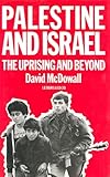 Front cover for the book Palestine and Israel by David McDowall