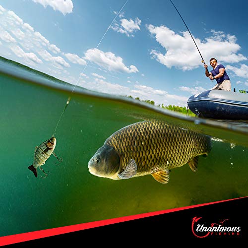 Premium Bass Fishing Lures, Set of 4 - Durable Fish Lure for Freshwater and Saltwater - Colorful Swimbaits and Tackle Gear Kit for Oceans, Streams, Lakes, or Ponds (Black)