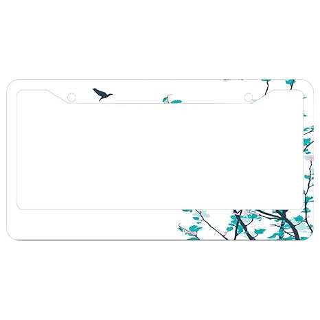 Amazon Com Stylis License Plate Frame Decorative Car Frame Plate