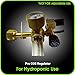Hydroponics (Co2) Regulator Emitter System with Solenoid Valve Accurate and Easy to Adjust Flow Meter Made of High Quality Brass - Shorten up and Double Your Time for Harvesting - Not for Aquarium Use
