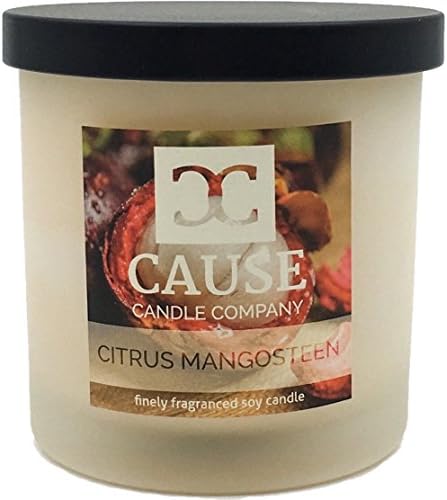Cause Candle Co 100% Soy Wax Citrus Mangosteen Scented Candles. Best for Natural Aromatherapy, Stress Relief, Relaxation, Gift, or Home Fragrance. Clean Burn Glass Jar as Home Decor to Relax De-Stress