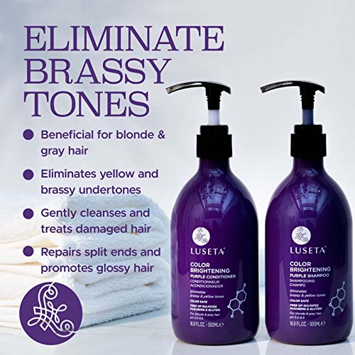 Luseta Purple Shampoo and Conditioner Set for Blonde, Gray Color