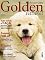 Livro Bichos em casa : Golden Retriever