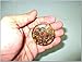 Tiger Eye Orgone Tower Buster Piezo Electric Generator Frequency Ions Tested Cloud Chem Buster
