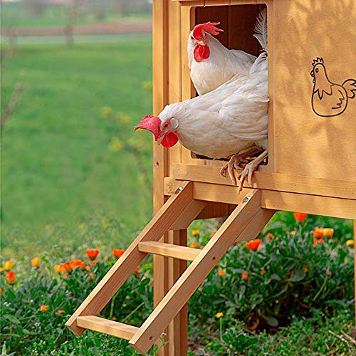 Ferplast Hühnerstall für Legehennen Hen House 30 für den AuÃenbereich, aus widerstandsfähigem, umweltfreundlichem FSC Holz, für ca. 6 Hühner, Zubehör inklusive, 162 x 100 x h 110 cm. – Bild 4