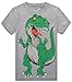 Boys Dinosaurs PJs 2 Piece Sleepwear Pajamas Short Sets Size 6Y