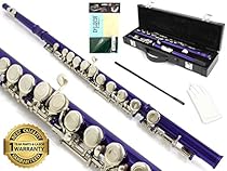 D'Luca 400PR 400 Series 16 Closed Hole C Flute with Offset G and Split E Mechanism, Case, Cleaning Kit, Purple
