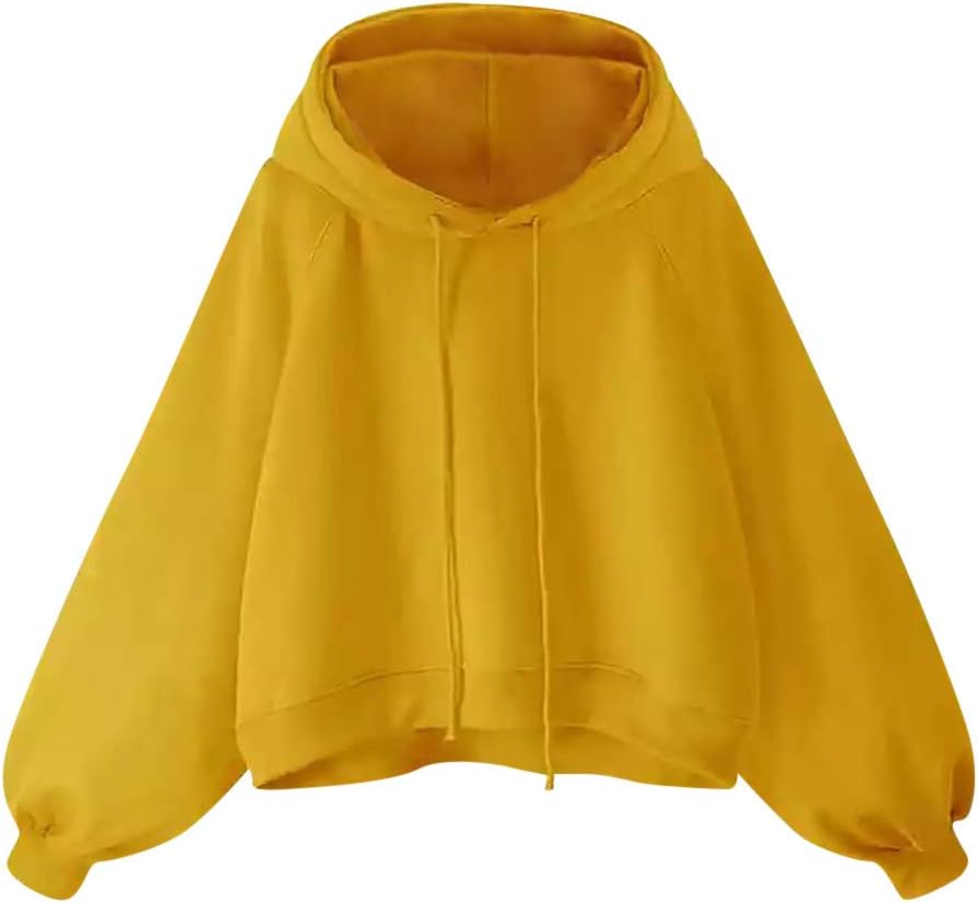 Kulywon Women Lantern Sleeve Sweater Women's Long Sleeve Loose Thin Hooded Blouse