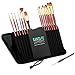 Santa Fe Art Supply Paint Brush Set W/Carrying Case-Organizer - 15+1 Professional Grade Wood Paintbrush Kit Perfect for Watercolor, Oil, Ink, Face - Creative Art Brushes & Craft Supplies for Artists