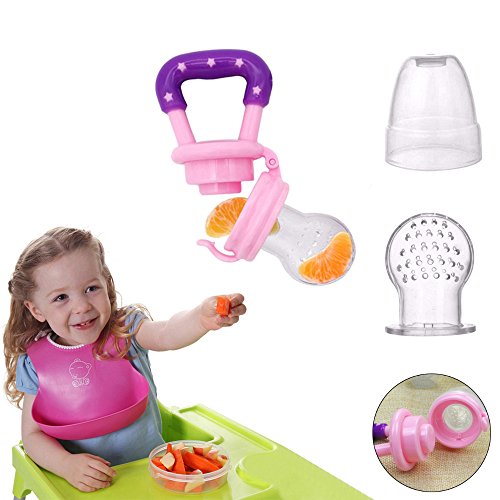 Baby Fruit Feeder Pacifier Fresh Food Nibble Weaning Tool