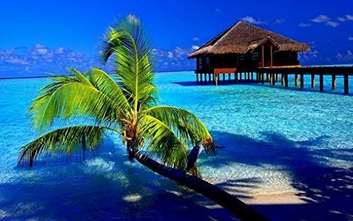 Amazon Com Tropical Paradise Poster Amazing Beach And Palm Tree And Ocean Home Shot Rare Hot New 24x36 Posters Prints