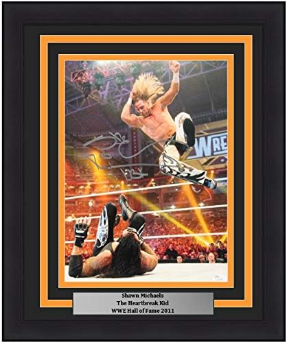 Shawn Michaels Autographed v. The Undertaker at Wrestlemania 11" x 14" Framed and Matted WWE Wrestling Photo - JSA Authenticated