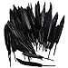 Feather for Crafts,250 Pcs Coloured Feather Striking Feathers for DIY Dream Catchers Natural Crafts Feathers for Wedding/Party/Decorations(3 Sizes) (Black)