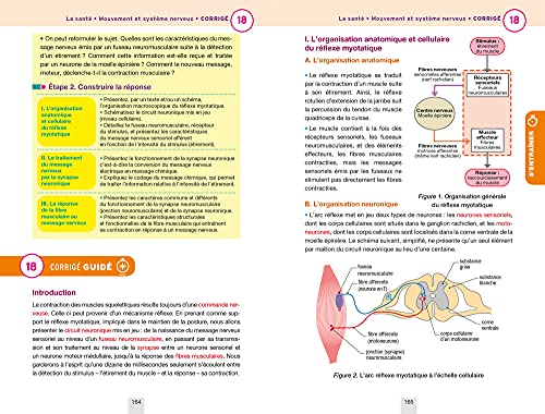 Annales du bac Annabac 2022 SVT Tle générale (spécialité): méthodes & sujets corrigés nouveau bac - Image 5