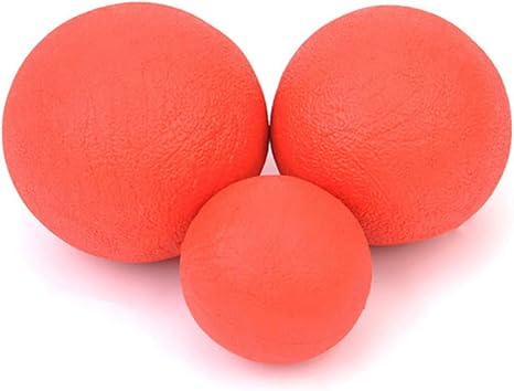 pelota saltarina para perros