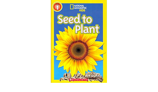 Seed To Plant National Geographic Kids National Georgraphic 9780545723312 Amazon Com Books