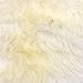 Real Sheepskin Rug Double Pelt - Sheep Fur Rug 2x6 by A-STAR (TM) (Cream)