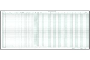 EGPCHECKS Payroll/General Expense Combo Journal Sheet, 15 Sheets