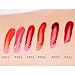 Ochine 6 Colors Wine Waterproof Lipstick Matte Lip Tint Set Lip Gloss Lip Stain 6 pcs