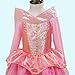 Aurora Princess Costume (4-5, Style 1)