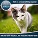 Premium Care Flea And Tick Collar For Cats | Prevents And Removes Fleas, Ticks, Lice And Mosquitos In 24 Hours | 8 Months Protection | 100% Natural Essential Oil Flea And Tick Prevention For Cats