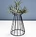 Pack of 2 Air Plant Tillandsia Base Large Tillandsia Air Plant Holder Metal Indoor Tabletop Big Streptophylla Air Plant Stands Tillandsia Plant Racks Large Xerographica Air Plant Stand