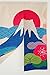 Japanese Noren Doorway Curtain / Tapestry 33.5