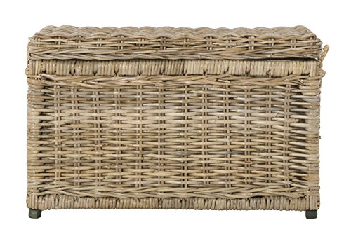 happimess Jacob 30" Wicker Storage Trunk, Natural