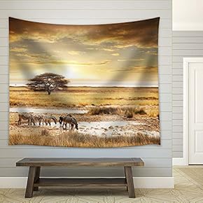 Zebras on African Savannah - Fabric Tapestry, Home Decor - 51x60 inches