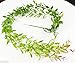 6 Bunches Green Artificial Silk Hanging Vine Plant Willow Leaves for Home Garden Outdoor Wall Decoration