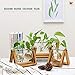 Kingbuy Desk Accessories Glass Planter Bulb Vase with Retro Solid Wooden Stand and Metal Swivel Holder for Office Desk Wedding Decor with Retro Wooden Stand (1 Bulb Vase)thumb 1