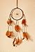 Dream-Catcher Native American Indian Inspired Chakras Brown