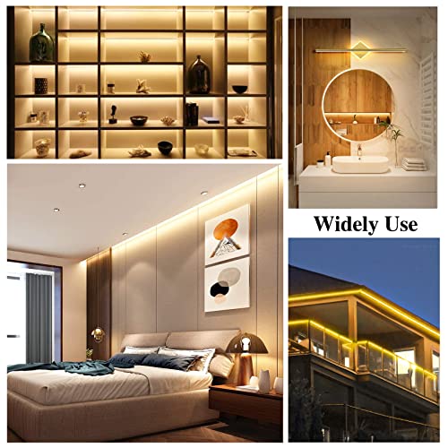 Tkifoda Neon LED Strip Light with Remote and Connector Kit, 16.4ft/5m Waterproof LED Neon Flex, 3000K Silicone Flexible DIY Rope Light for Home, Party, Wedding (No Power Adapter)