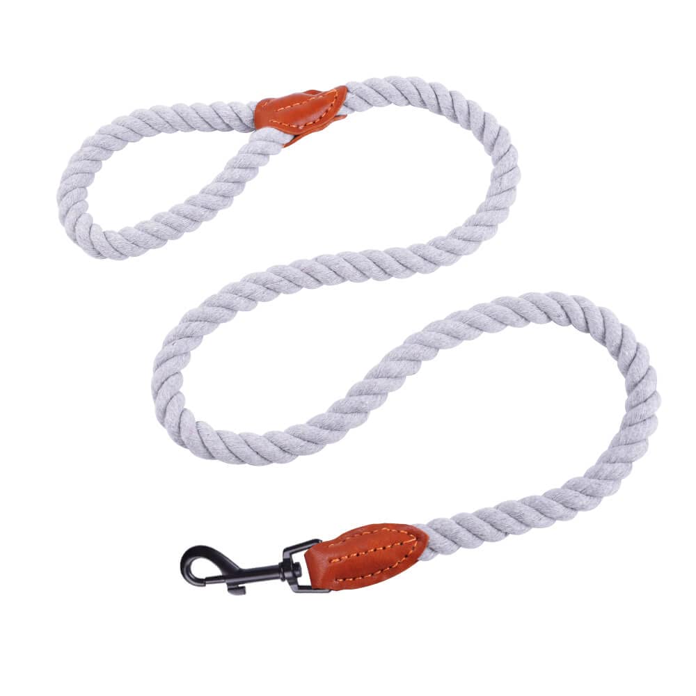 AllPetSolutions Rope Dog Lead - Heavy Duty Walking, Running, Outdoor Training Lead for Dogs - Anti-Tangle Leash with 360 Hook, Strong Clip, Easy Grip Loop Handle - Light Grey, Braided Nylon, 120cm