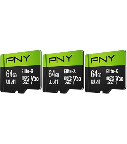 Amazon.com: SanDisk 64GB X2 (128GB) MicroSDXC Ultra Uhs-1 Memory