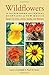 Wildflowers of the Northern and Central Mountains of New Mexico: Sangre de Cristo, Jemez, Sandia, and Manzano