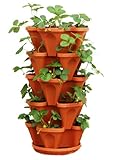 5 Tier Stackable Strawberry, Herb, Flower, and Vegetable Planter - Vertical Garden Indoor/Outdoor