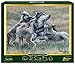 Center of Attention 500-Piece Puzzle