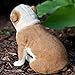 Sandicast Original Size Fawn Bulldog Sculpture - Sitting
